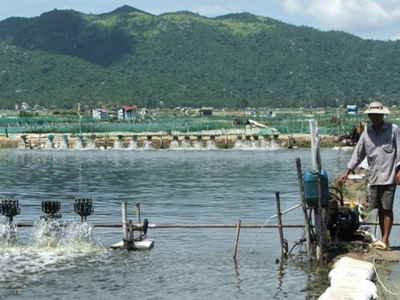 Solutions sought for sustainable fishery in Phu Yen