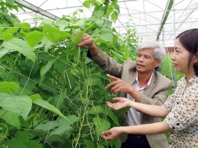 Addressing issues related to credit, high-tech agriculture market