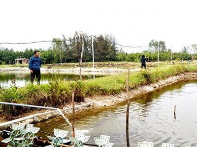 Cấp thiết nuôi tôm tập trung