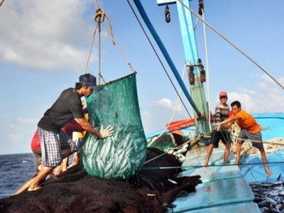 Vietnam hopes for removal of EU yellow card on seafood in May