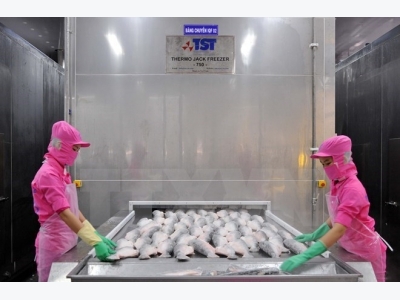 An Giang expands material tra fish farming area