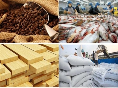 Reason for the highest GDP growth of agriculture in 13 years?