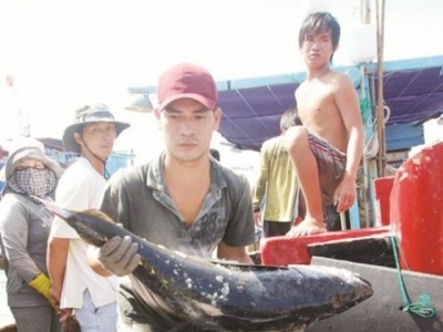 Seafood export: Looking forward to removing the yellow card