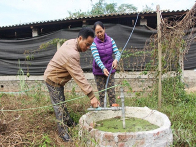 Mở rộng quy mô chăn nuôi nhờ hầm khí biogas tại Bắc Giang