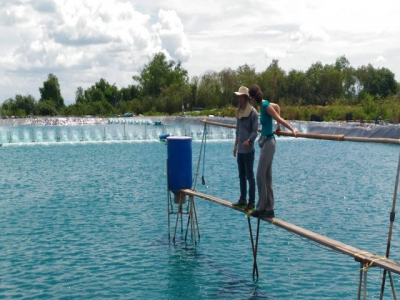 Study backs biofloc benefits in shrimp production