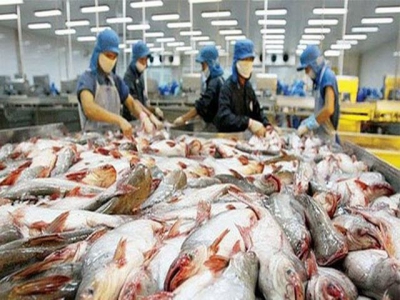 US Department of Agriculture gears up inspection for Vietnamese pangasuis