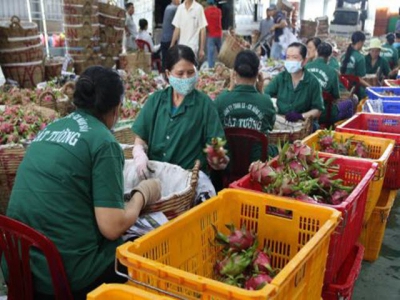 Singapore firms seek suppliers of agricultural products in Viêt Nam