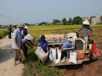 Covid-19 epidemic puts pressure on agriculture restructuring