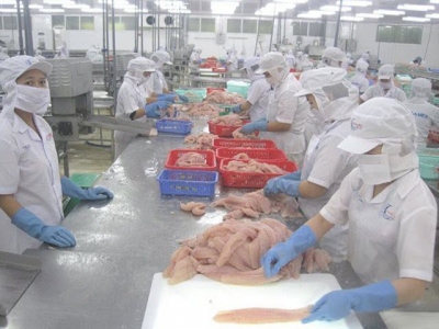 U.S. postpones assessment of Vietnams tra fish safety