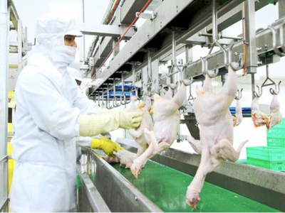 Agricultural sector should aim at value chain, official export