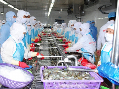 Shrimp exporters in Mekong Delta face challenges amid Covid-19 epidemic