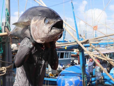 International cooperation key to promoting Vietnams tuna brand