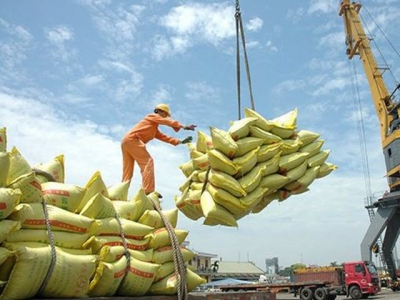 Vietnamese rice export price reaches record level