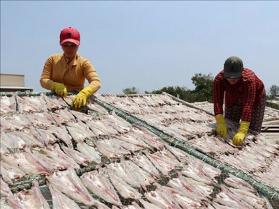 Tiền Giang - Làm giàu từ nghề cá khô truyền thống