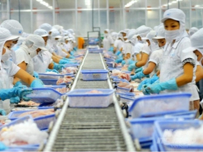 Vietnams aquatic exports to Taiwan rise sharply amidst COVID-19