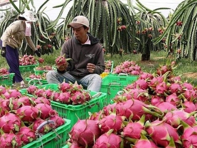 Fruit and vegetable exports have been in trouble since the beginning of the year