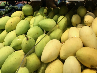 US increases imports of Vietnamese mangoes