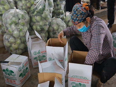 Farmers get help to sell produce via e-commerce