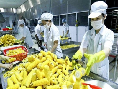 RCEP offers opportunity to expand Vietnamese agricultural exports