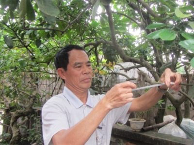 Phù thủy ghép thành công hàng chục giống cây