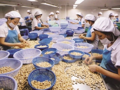 US emerges as largest consumer of Vietnamese farm produce