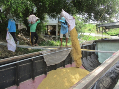 Colombia muốn nhập thêm gạo, sâm của Việt Nam