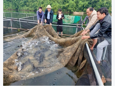 Nghệ An nhân rộng những mô hình thủy sản hiệu quả