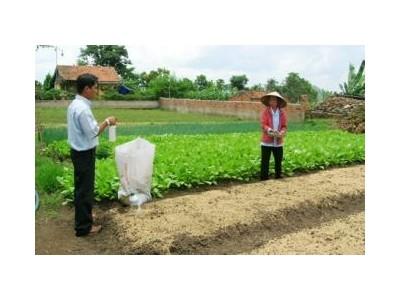 Đội Ngũ Tư Vấn GAP Còn Yếu