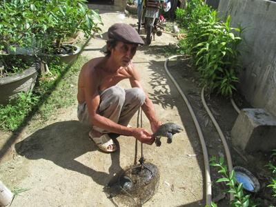 Ba Ba “Sốt” Giá, Người Dân Vẫn Thờ Ơ Ở Khánh Hòa