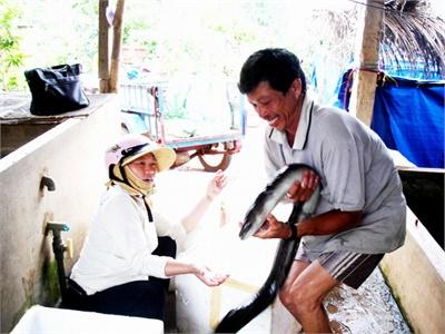 Làm Giàu Từ Nuôi Chình