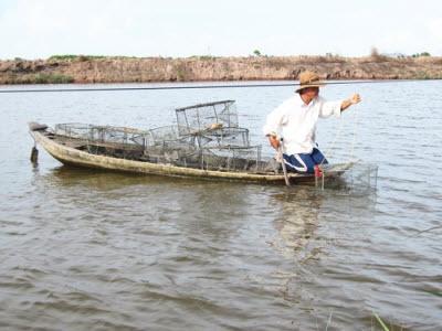 Nuôi Cua Xen Nuôi Tôm Quảng Canh Thu Lợi Khá Ở Bến Tre