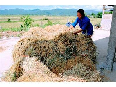 Vươn Lên Làm Giàu Từ Chuyển Đổi Cơ Cấu Cây Trồng Vật Nuôi