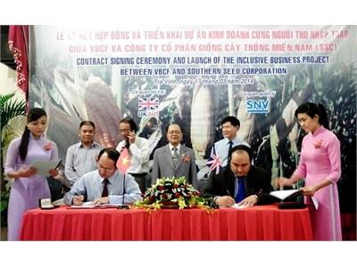 Cây Xóa Nghèo Trên Đất Lúa!