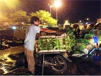 Không Phải Cứ Rau Xấu, Có Sâu Là Rau Sạch