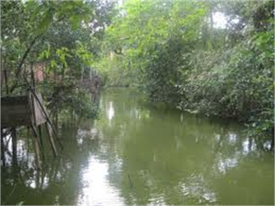 Nông Dân Kêu Khổ Vì Nước Hầm Cá