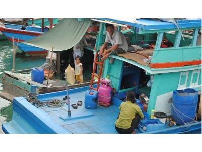 Chuyện Không Bình Thường Về Con Banh Lông