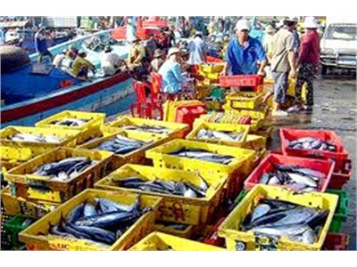 Sản Lượng Khai Thác Thủy Sản Tại Bạc Liêu Đạt Trên 73.000 Tấn