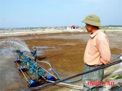 Khó Khăn Đầu Vụ Nuôi Tôm