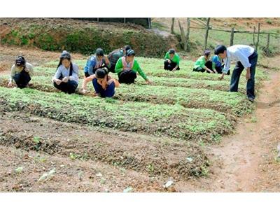 Trường Bán Trú Làm... Trang Trại