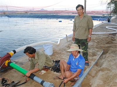 Ninh Thuận Vào Vụ Tôm Mới