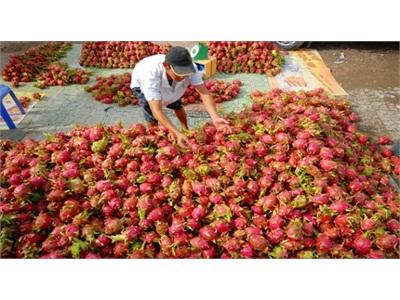 Gỡ Khó Cho Rau Quả Xuất Khẩu