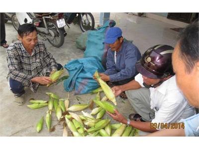 Làm Giàu Phải Có Cái Đầu Năng Động