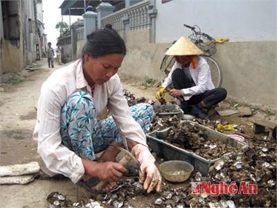 Nghệ An Phát Triển Nghề Nuôi Thủy Sản