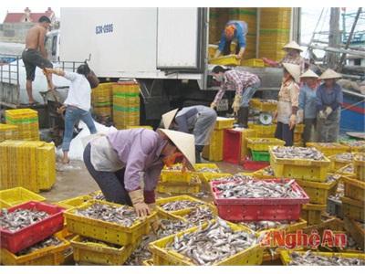 Xuất Khẩu Nông, Thủy Sản Những Tín Hiệu Vui