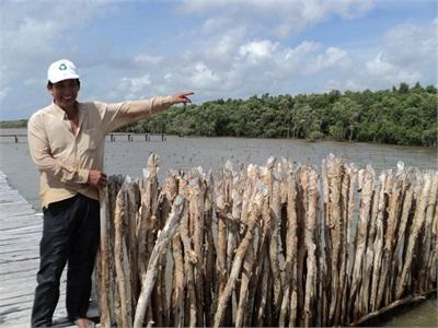 Kiên Giang Tập Trung Bảo Vệ Và Chăm Sóc Rừng Trồng