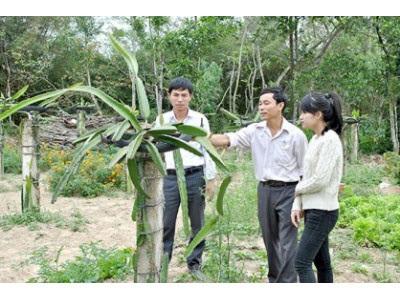 Làm Giàu Từ Mô Hình Kinh Tế Gia Trại