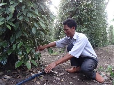 Tập Trung Vốn Cho Nông Nghiệp, Nông Thôn