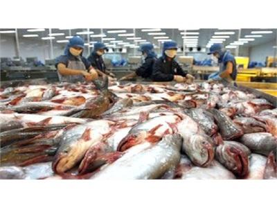 Xuất Khẩu Sang Mỹ Việt Nam Lại Khổ Vì Bán Quá Rẻ...