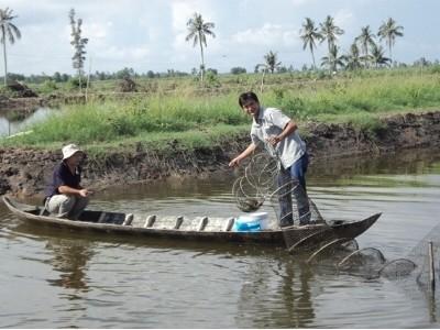 Khi nông dân cầm sổ đỏ con tôm ôm sổ đỏ