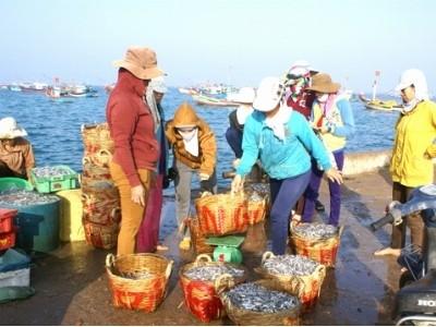 Cần định hướng lại hoạt động khai thác hải sản